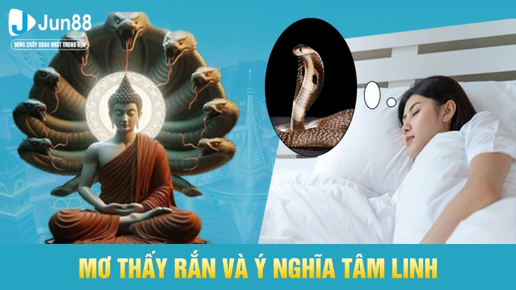 Mơ thấy rắn có ý nghĩa gì?